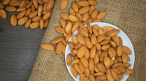 Brown Almond Nuts on White Plate