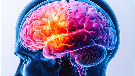 New variant of amoebic encephalitis confirmed in Kochi; danger level lifted