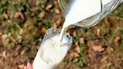 milk