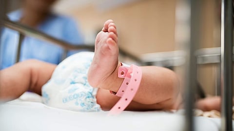 newborn baby