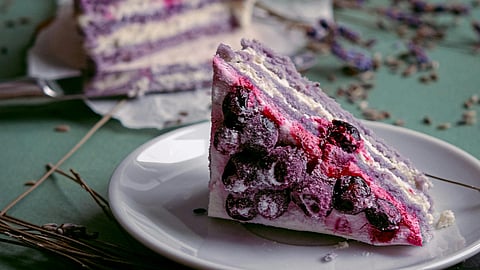 Cake in plate