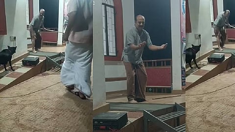 Artist bitten by dog during play against stray dog attack