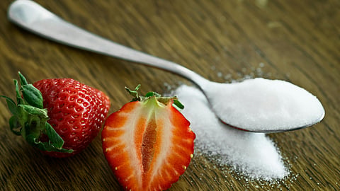 Sugar Cut diet