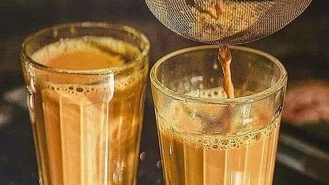 MILK TEA