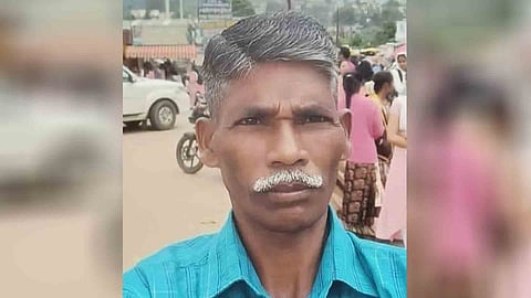 wild elephant attack forest department