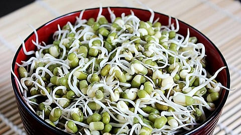 Sprout