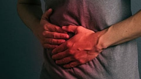 Gut Health