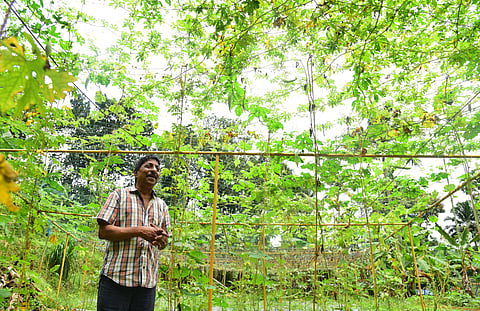 sreenivasan