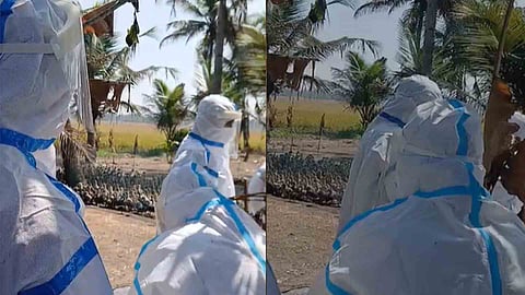 Avian flu update alapuzha