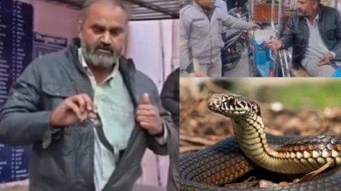 Mathura man carries snake in pocket to hospital after being bitten