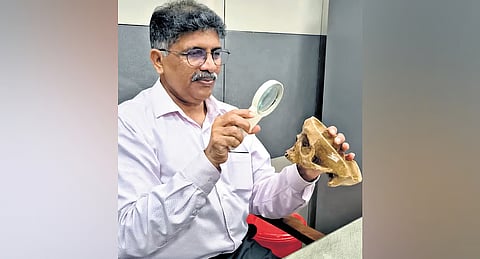 Dr: S K Padmakumar