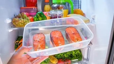 fresh fish