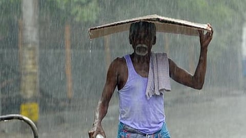 summer rain