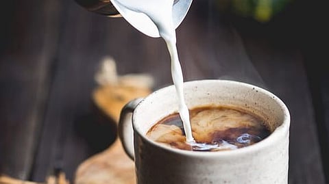 Milk Coffee