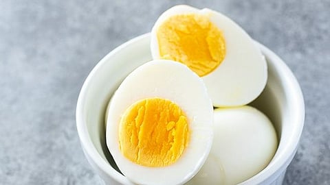Egg