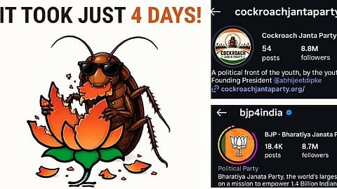 Cockroach Is Back