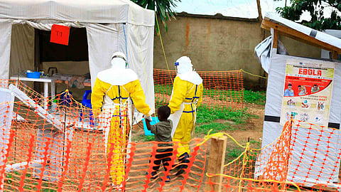 Ebola virus