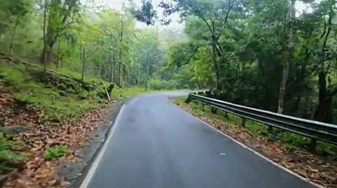 Athirappilly Road