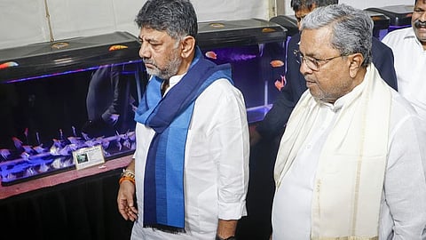 DK Sidharamayyah