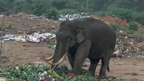 Padayappa