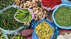 Vegetable farming