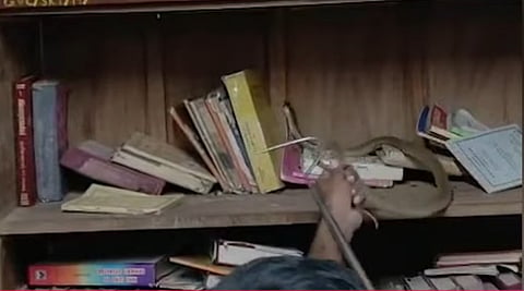 Cobra Found in Palakkad Victoria College Library