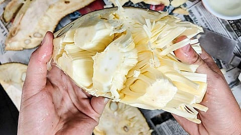 green jackfruit