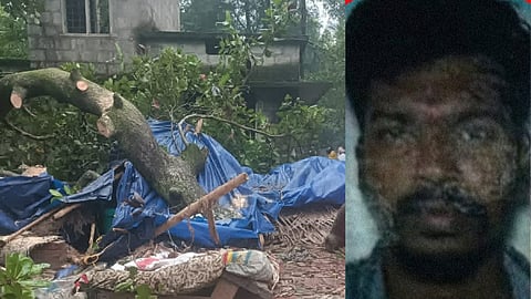 Young man dies after tree falls on house while he was sleeping