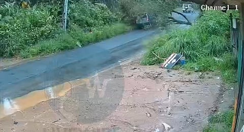 A tree branch fell on top of a car during heavy rain