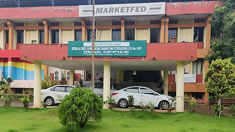 MARKETFED Career
