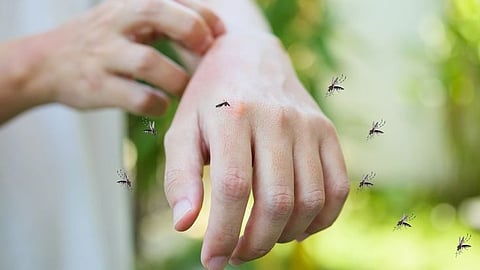 West Nile Fever symptoms