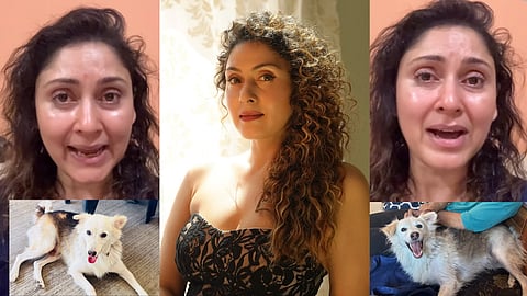 Manjari Fadnnis