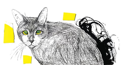 Illustration