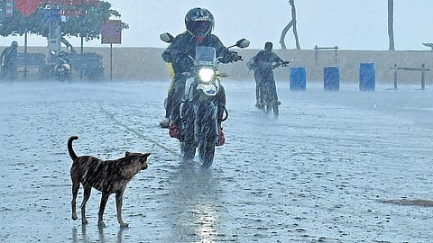 kerala rain