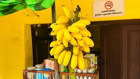Banana health benefits