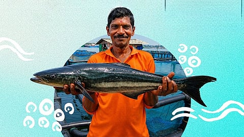 MPEDA JOBS 2026