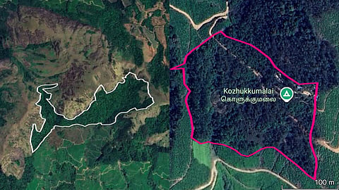 Forest Department reclaims government land from Harrison