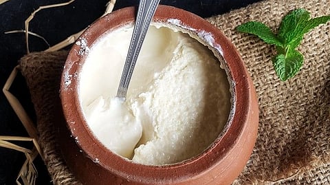 Curd, Probiotics
