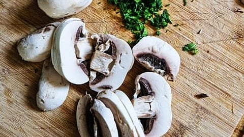 Mushroom Vitamin D Deficiency