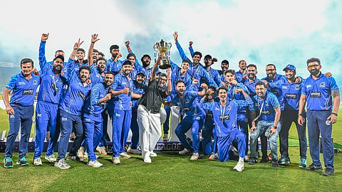 Kochi Blue Tigers