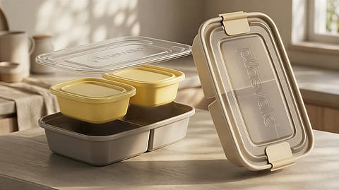 Tiffin Box, cleaning tips