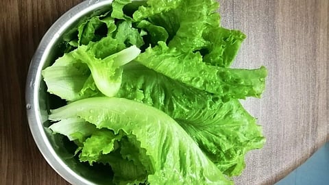 Lettuce, cyclospora in US