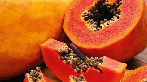 Papaya