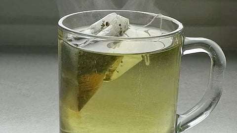 green tea for belly fat