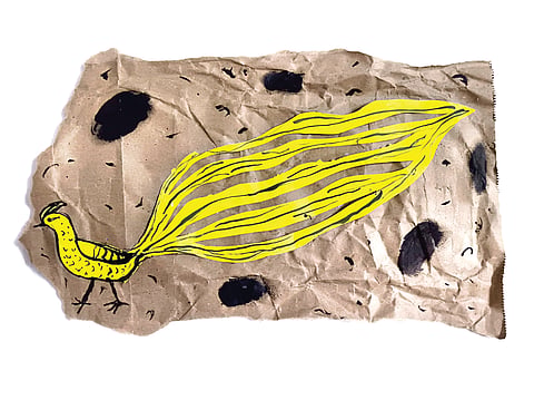 Illustration