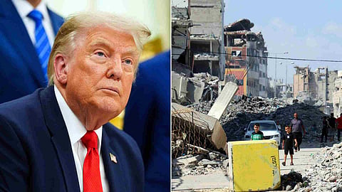 donald trump, gaza