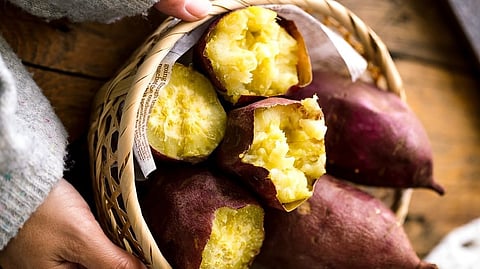 Sweet potato