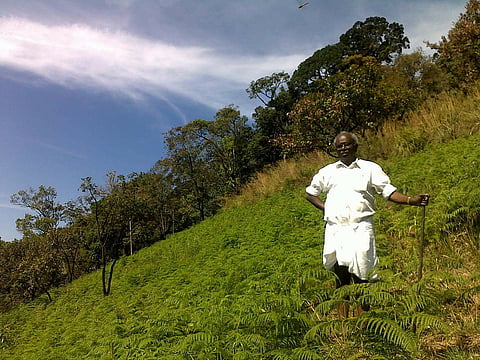 Image of MM Mani