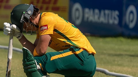 South Africa Drop Dewald Brevis
