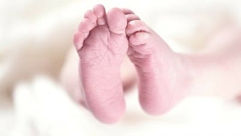 Child attacked